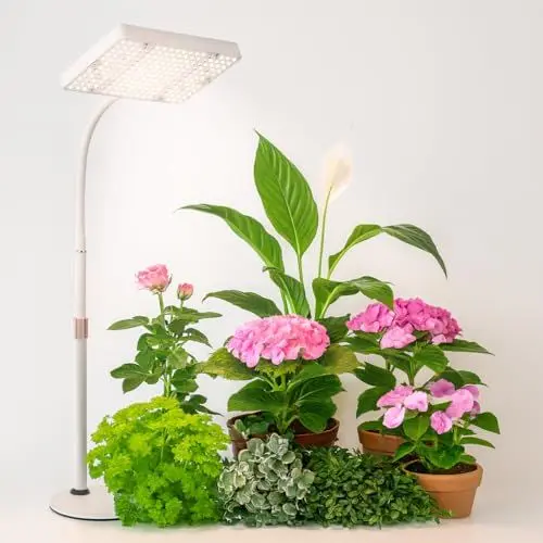 Produktbild: GroCruiser EU-Eurostecker Pflanzenlampe Schreibtisch LED Vollspektrum, 2000 Lumen UV-IR Vollspektrum Pflanzenlicht für Zimmerpflanzen, Wachstumslampe für Pflanzen, Daisy Chain Funktion