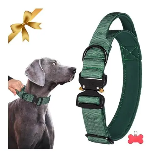 Produktbild: Große Taktische Hundehalsband mit Griff Dickes Verstellbares Hundehalsband Schwere Ausführung Schnellverschluss-Metallschnalle Hundehalsband, Starke Nylon Hunde Halsbänder Neopren Gepolstert, Grün XL