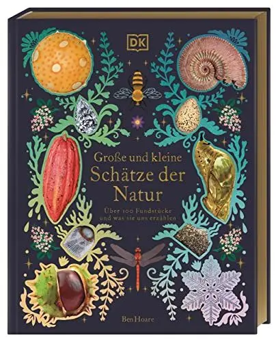 Produktbild: Große und kleine Schätze der Natur. Große und kleine Schätze der Natur: Über 100 Fundstücke und was sie uns erzählen. Hochwertig ausgestattet mit Goldfolie und Goldschnitt. Für Kinder ab 8 Jahren