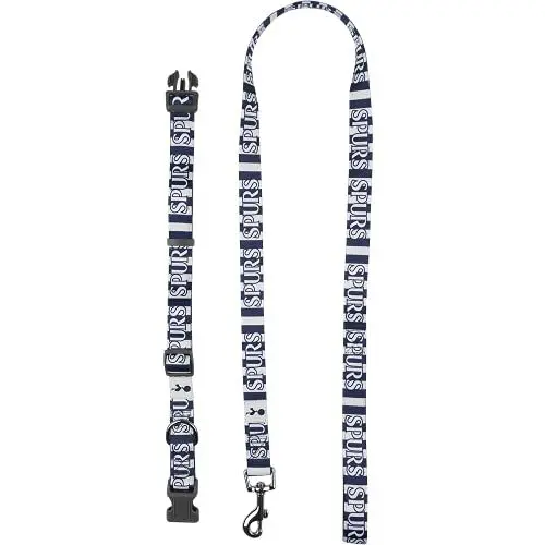 Produktbild: Großes Haustier-Halsband und Leine.