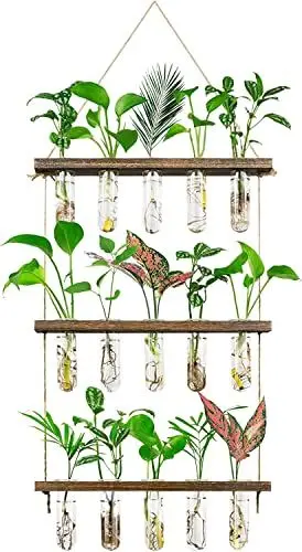 Produktbild: Grovind 3 Stufen große Blumenvasen Wand hängende Pflanze Vase mit hölzernen Stand, Glas Pflanzer Reagenzglas für hydroponische Pflanzen Home Office Patio Decor