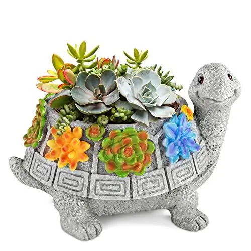 Produktbild: Grovind Sukkulenten Topf, Schildkröte Blumentopf für zimmerpflanzen mit Drainageloch, Pflanzen Töpfe für Sukkulenten, Kaktus - BlumenTöpfe für Home Office Balkon Gartendeko