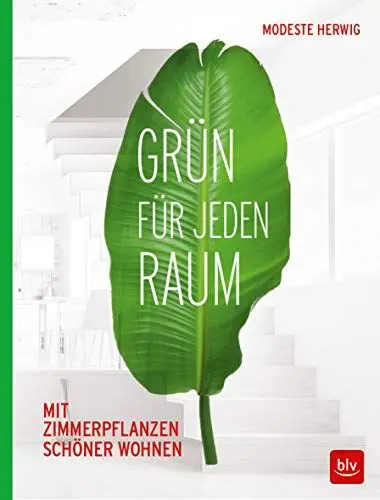 Produktbild: Grün für jeden Raum: Mit Zimmerpflanzen schöner wohnen
