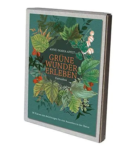 Produktbild: Grüne Wunder erleben - Kartenbox: 36 Karten mit Anleitungen für vier Auszeiten in der Natur