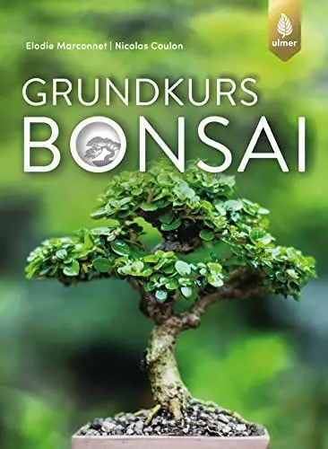 Produktbild: Grundkurs Bonsai