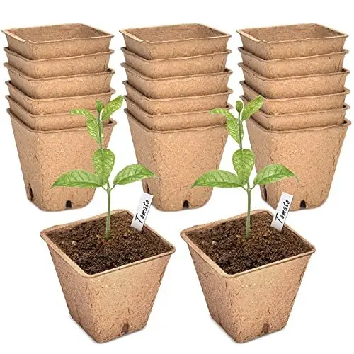 Produktbild: gueche Anzuchttöpfe 6cm Biologisch abbaubare, Anzuchttöpfe Abbaubar pflanztöpfe anzucht Biologisch Abbaubar 60pcs anzucht anzuchttöpfe Geeignet für alle Samen Sämlinge Blumen Obst Garten