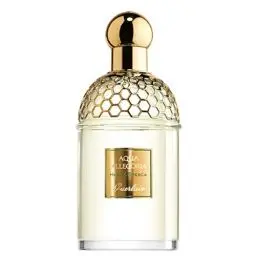 Produktbild: Guerlain - FRISCHE HERBA - Nachfüllpack EAU DE TOILETTE 125 ml