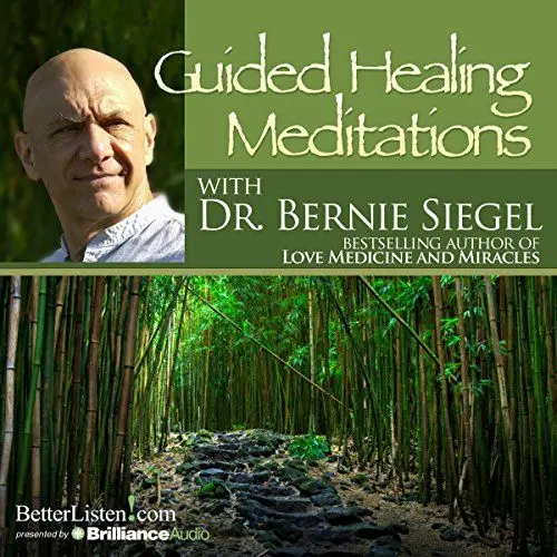 Produktbild: Guided Healing Meditations