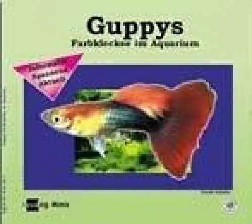 Produktbild: Guppys: Farbkleckse im Aquarium (Aqualog mini)