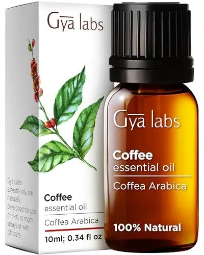 Produktbild: Gya Labs ätherisches Kaffeeöl für die Aromatherapie – ätherisches Kaffeeöl für Diffusoren – Kaffeeöl für die Haut, Düfte, Badebomben, Spray, Kerzen und Seifen – 100% natürlich (10 ml)