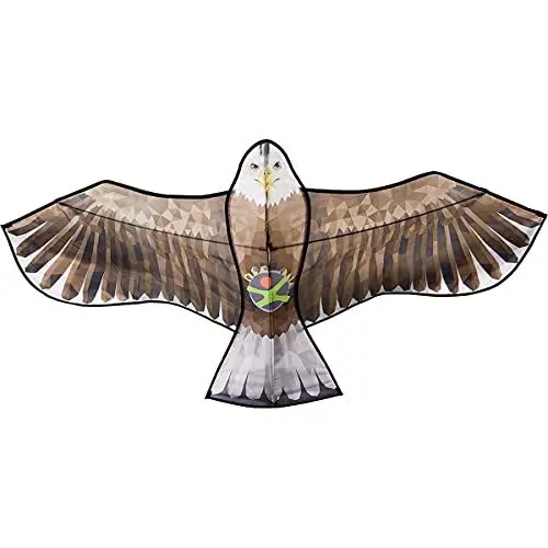 Produktbild: HABA 306016 - Terra Kids Flugdrache, Flugobjekt ab 8 Jahren, Grün, Braun