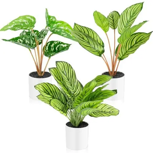 Produktbild: Halbur Kunstpflanzen Wie Echt,3 Stück Künstliche Pflanzen Fake Plant Calathea Makoyana im Weißen Blumentopf für Indoor Home Dekoration (31cm)