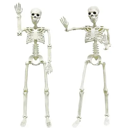 Produktbild: Halloween Skelette, Grusel-Doppelpack: 2x90cm Lebensgroße Skelette-Komplett Gelenkiger Körper aus Kunststoff, Perfekt für Halloween Deko, Garten & Schaurige Partys (Skelett-2er Set 90cm)