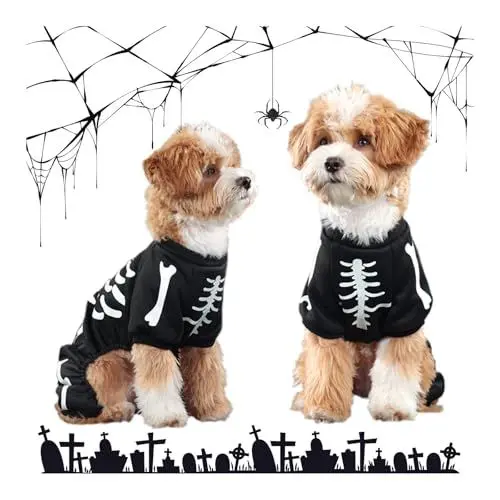 Produktbild: Halloween-Kostüm für Haustiere Hunde Katzen Spinne/Skelett Haustier Kostüme Hunde Party Schädel Hoodie Kostüm Kleidung Haustier Jumpsuit Shirt für Welpe Hund Katze Cosplay Dress Up Supplies, Schwarz/M