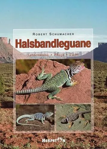 Produktbild: Halsbandleguane: Lebensweise, Pflege, Zucht