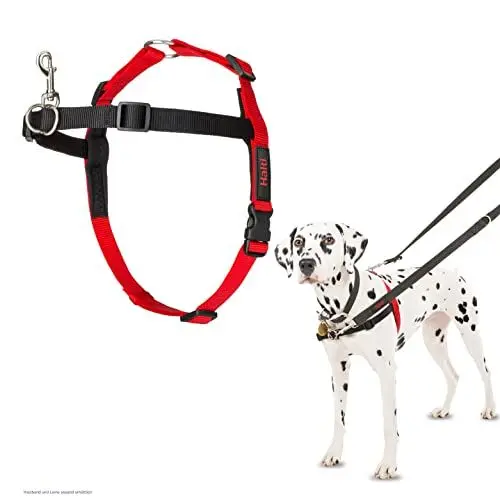 Produktbild: HALTI Front Control Anti-Zug Geschirr, Größe Mittel - Verhindert, dass Ihr Hund an der Leine zieht, Kontrollieren Sie Ihren Hund sanft über den Brustbereich, Einfache Anpassung und Benutzung