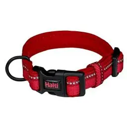 Produktbild: HALTI Komforthalsband - Hundehalsband mit Neoprenpolsterung, 3M-Reflektorgewebe und verstellbarer Riemen. Geeignet für kleine Hunde und Welpen (Größe XS, Rot)
