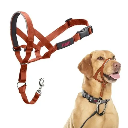 Produktbild: HALTI Kopfgeschirr - Verhindert, dass Ihr Hund an der Leine zieht, Einfache Anpassung, Leicht, mit gepolstertem Nasenriemen, Anti-Zug-Halsband für mittelgroße Hunde (Größe 3, Dunkelorange)