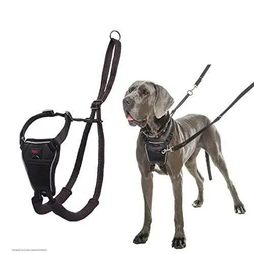 Produktbild: HALTI No Pull Anti-Zug Geschirr, Größe Groß - Verhindert, dass Ihr Hund an der Leine zieht, Gepolsterter Brust- und Beingurt, Reflektierendes Gurtmaterial, Einfache Anpassung und Benutzung