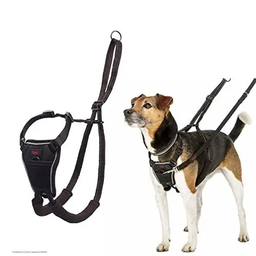 Produktbild: HALTI No Pull Anti-Zug Geschirr, Größe Klein - Verhindert, dass Ihr Hund an der Leine zieht, Gepolsterter Brust- und Beingurt, Reflektierendes Gurtmaterial, Einfache Anpassung und Benutzung