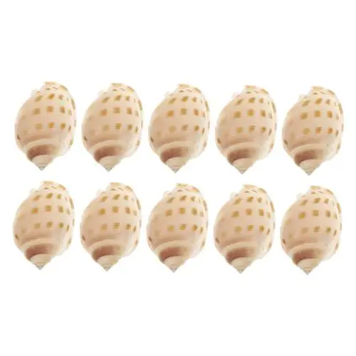 Produktbild: HAPINARY 10stücke Teiliges Natürliche Dekoration Für Aquarium Lebendige Aquarienlandschaft Wasserdichtes Ornament Für Fischtanks Für Aquarien