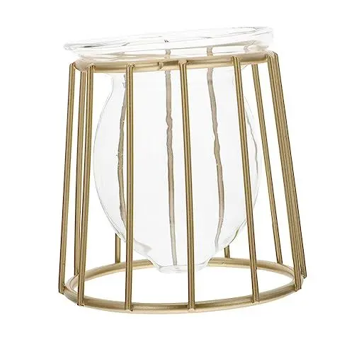 Produktbild: Happyyami 1stk Geometrische Hydrokulturvase Zylindervase Pflanzen Dekor Pflanzenterrarium Klare Vase Blumen-Terrarium Einmachgläser Haushaltsvase Hydrokultur-glasvase Golden Schmiedeeisen