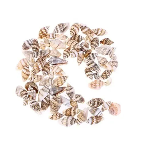 Produktbild: Happyyami 500stücke Stck Kleine Conch-Muscheln Natürliche Muscheln Zum Basteln Strandmuscheln Für Heimdekoration Und Aquarien-Dekoration