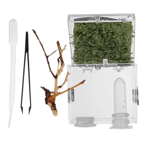 Produktbild: Happyyami Kasten Springspinnen-zuchtbox Lebensraum-kit Für Schildkröten Terrarienhintergrund Klettern Haustier Terrarium Insekt Mini-tierwächter Vogelspinne-Terrarium Gehäuse Fisch Tür Acryl