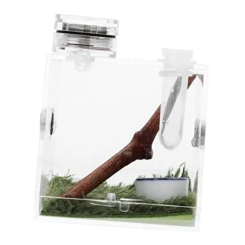 Produktbild: Happyyami Kasten Springspinnen-zuchtbox Springspinnen-Terrarium Zuchtbecken Für Aquarien Träger Spinnenlebensraumhalter Kleines Terrarium Gehäuse Verstecken Vogelspinnengehege Tarantel Holz