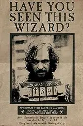 Produktbild: Harry Potter Wanted Sirius Black Maxi Poster 61x91.5cm