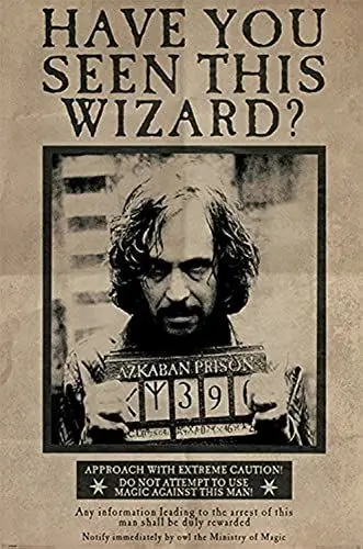 Produktbild: Harry Potter Wanted Sirius Black Maxi Poster 61x91.5cm
