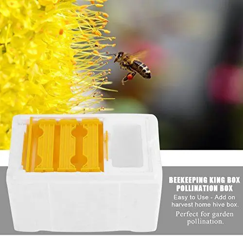 Produktbild: KIMISS Bienen-Starter-Set Garten Landwirtschaft Ernte Biene Bienenzucht King-Box Bestäubungsbox Bienenzucht-Werkzeug Paarung Nuc Bienenzucht
