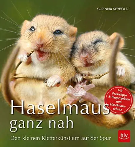 Produktbild: Haselmaus ganz nah: Den kleinen Kletterkünstlern auf der Spur (BLV Natur)