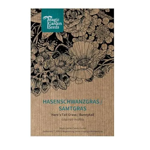 Produktbild: Hasenschwanzgras/Samtgras (Lagurus ovatus) ca. 300 Samen des Ziergras für den naturnahen Garten, Schnittblume, Trockenblume