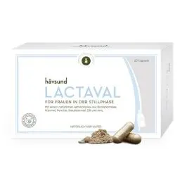 Produktbild: håvsund LACTAVAL Stillzeit Vitamine (60 Kapseln) • Nahrungsergänzungsmittel für Mütter & Frauen in der Stillphase • Bockshornklee Kapseln mit Fenchel, Kümmel, Kreuzkümmel & Anis • Vegan