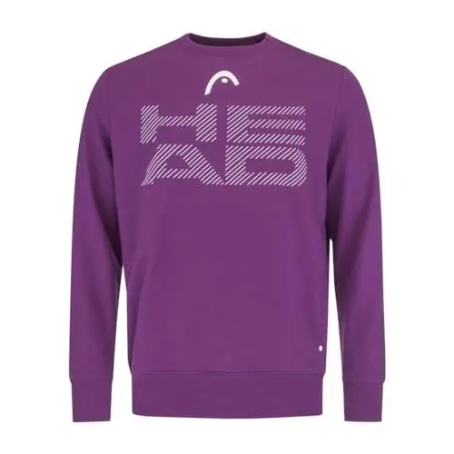 Produktbild: HEAD RALLY Sweatshirt Herren, pastellgrün, S