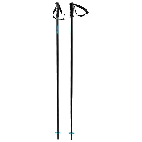 Produktbild: HEAD Unisex – Adult Multi Skistöcke, blau, 110