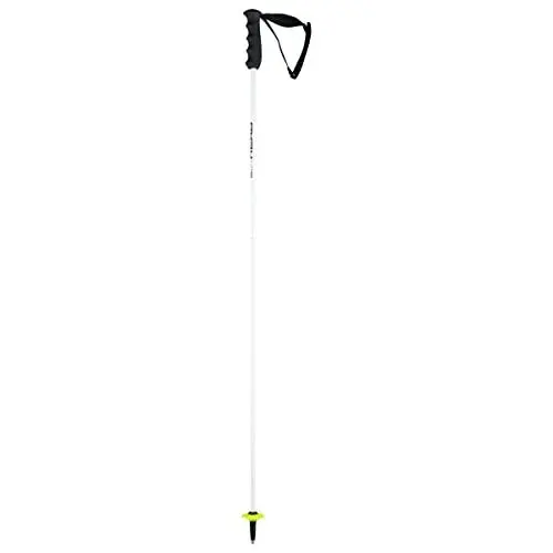 Produktbild: HEAD Worldcup Rebels Carbon Skistöcke, Schwarz/weiß, 120