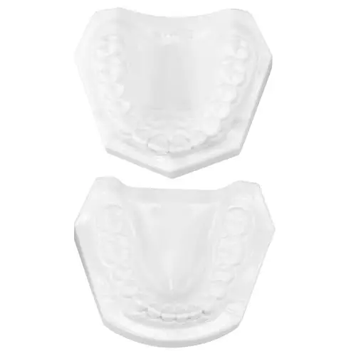 Produktbild: Healifty Zahnmodell Für Erwachsene Standard Lehrmodell Dentalmodell Zum Lernen Und Unterrichten Mit Herausnehmbaren Zähnen Praktisches Modell Für Und Praxis
