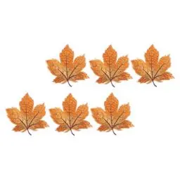 Produktbild: HEALLILY 6 x Aufnäher mit Ahornblättern, Applikation, Nähen, Abzeichen, Stoff, Erntedankfest, Herbstblätter, Kleidung, Dekoration für Jeans, Hut, Kleidung, Dekoration, Kleid