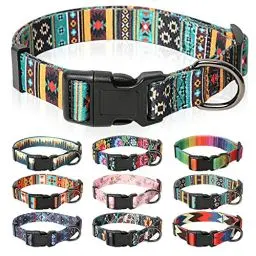 Produktbild: HEELE Hundehalsband, Hunde Halsband für Welpen Kleine Mittlere Große Hunde, Gemustertes Hundehalsbänder Verstellbares, Komfort, Robustem HundeHalsband, Bohemian Cyan, S