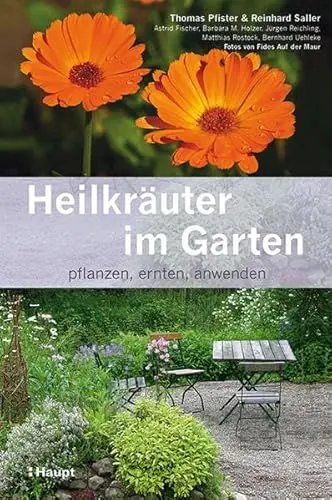 Produktbild: Heilkräuter im Garten: pflanzen, ernten, anwenden