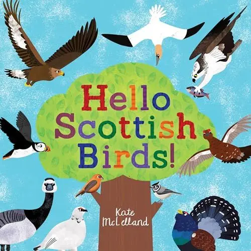 Produktbild: Hello Scottish Birds (Picture Kelpies)