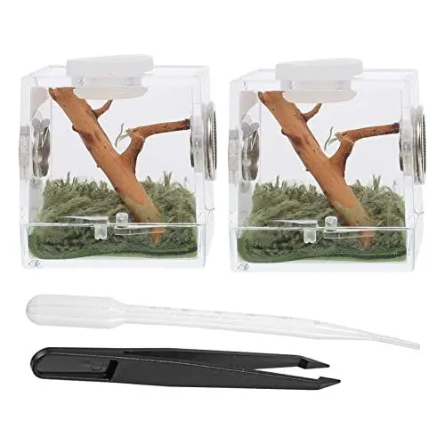 Produktbild: Hemobllo Schildkrötenpanzer Spider Habitat Box- Kleine Insektenzuchtkasten Jumping Spinne Micro Box Reptil Fütterungsbox Acryl Critter Keeper Reptil Käfig Für Spider