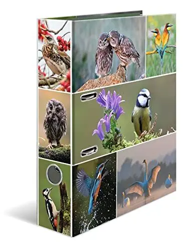 Produktbild: HERMA Ordner A4 Vögel, 7 cm breit, Kinder Ringordner mit Tier Motiv, bunter Aktenordner mit Innendruck für Jungen und Mädchen