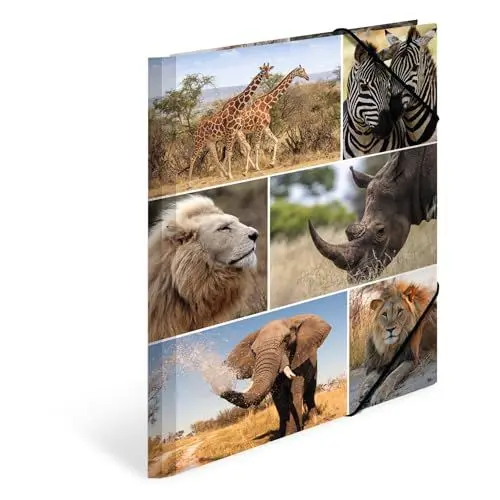 Produktbild: HERMA Sammelmappe A4 Löwe, Kinder Eckspanner-Mappe aus Pappe mit Afrika Tier Motiv, Gummizug, Innenklappen und Innendruck für Jungen und Mädchen