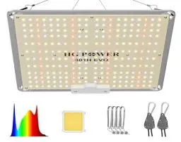 Produktbild: HG Power LED Grow Lampe 100W – Blüte Pflanzenlampe Led Vollspektrum, Dimmbar, LM301H EVO Dioden, 6500K LED Grow Light Energieeffizient, Wachstumslampe für Zimmerpflanzen Gemüse Growzelt