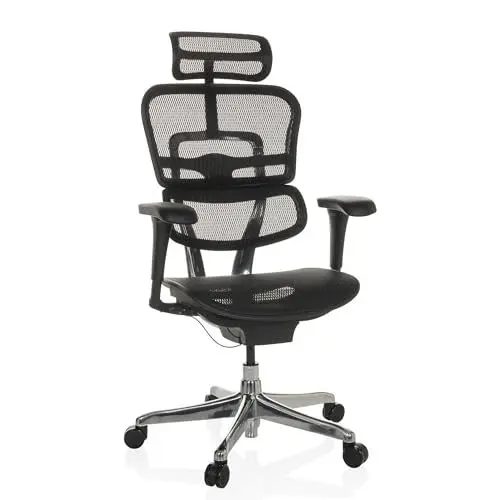 Produktbild: hjh OFFICE Bürostuhl ergonomisch ERGOHUMAN Edition GEN2 Originales Design, Bürosessel mit Flexibler Lordosenstütze, Netz Schwarz