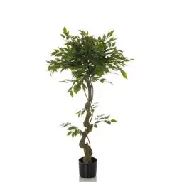 Produktbild: hjh OFFICE Kunstpflanze FICUS I Deko Pflanze künstlich 120 cm, Birkenfeige, pflegeleichter Kunstbaum, Grün 871057