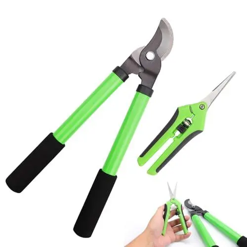 Produktbild: HJIAMA 2 Stück Baumschere, Blumenschere, aus Manganstahl mit Anti Rost Beschichtung, Strauchschere mit Anti Rutsch Griff, für Blumen, Sträucher